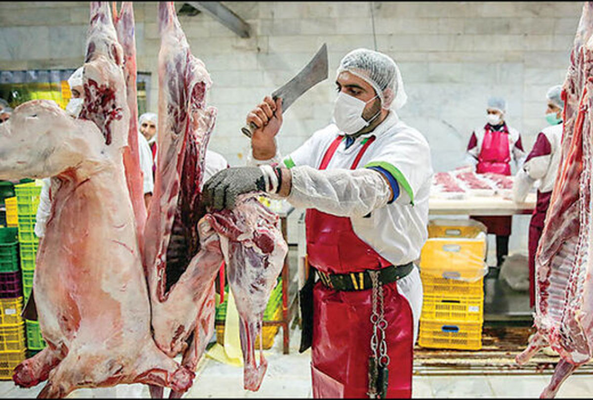 توزیع گوشت گوساله و گوسفندی وارداتی در میادین از فردا + قیمت