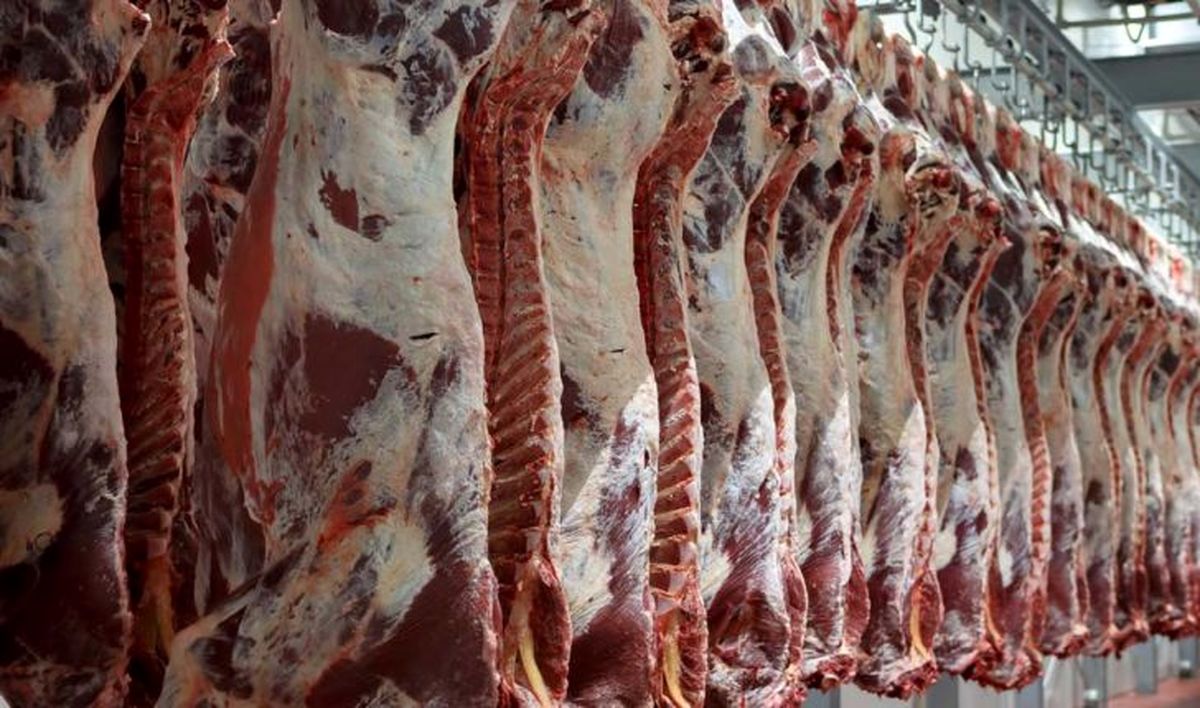 محموله گوشت استرالیایی وارد ایران شد
