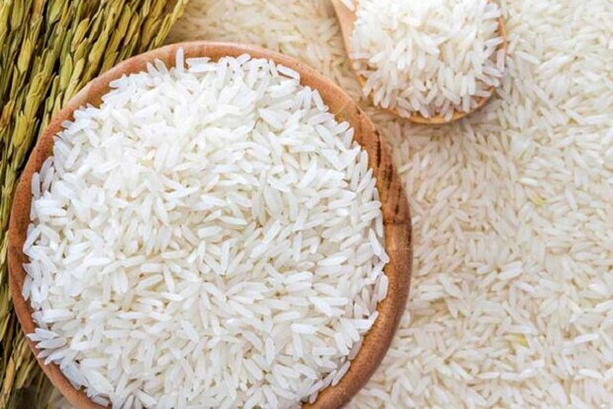 کدام برنج‌ها ارزان شدند؟/آخرین قیمت انواع برنج ایرانی در بازار