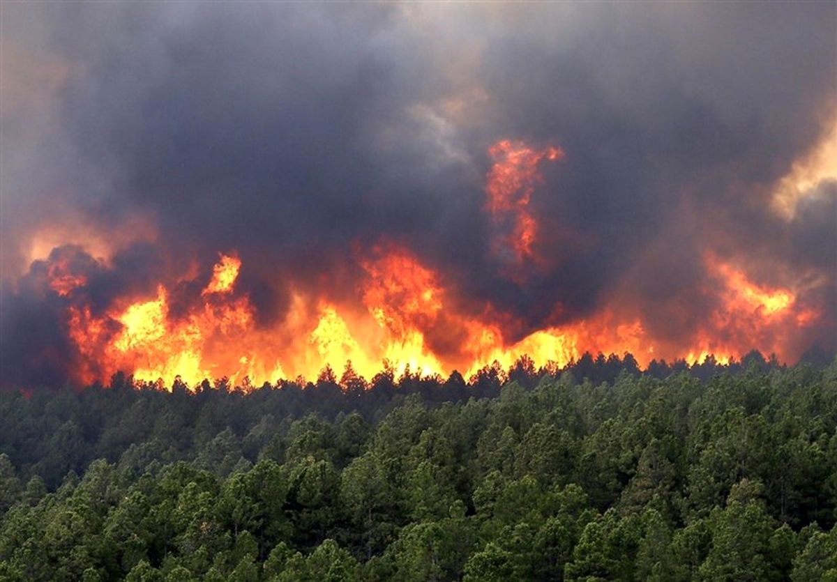 جنگل فندقلو درگیر آتش‌سوزی شد